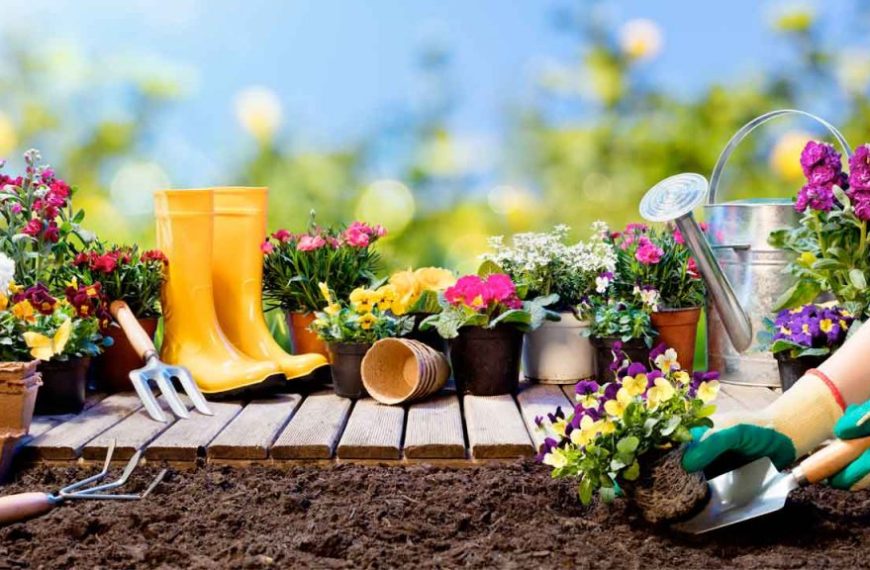 Consejos de Jardinería: Secretos para Cultivar Tu Jardín Perfecto