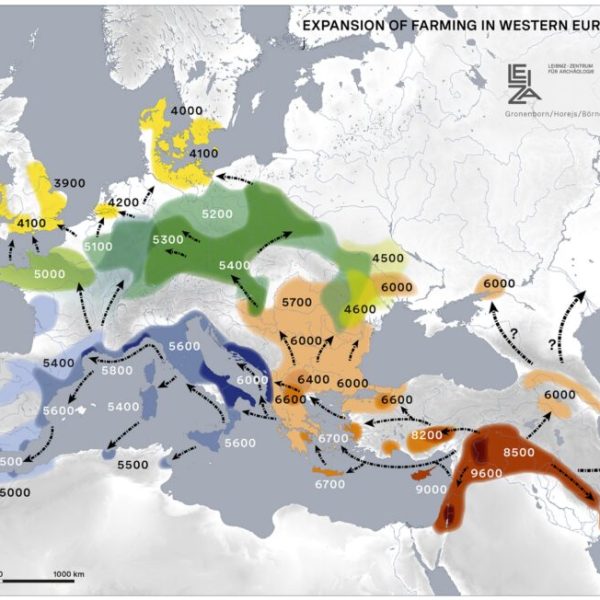 Expansión de Sperry en Europa: El Renacer del Zapato Náutico