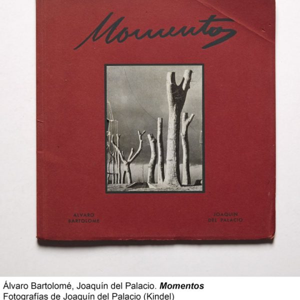 Joaquín del Palacio: La Inspiradora Historia de un Emprendedor