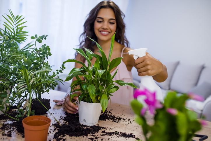 Cómo cuidar plantas de interior: secretos para mantenerlas saludables y felices