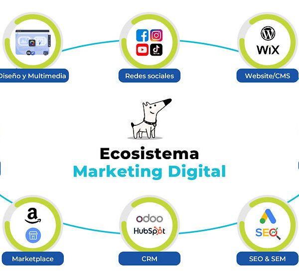 Ventaja Competitiva en Marketing: Cómo Dominar la Complejidad