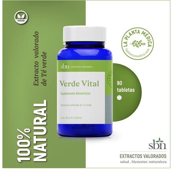 La Inspiring Historia de María Jesús González y Verde Vital