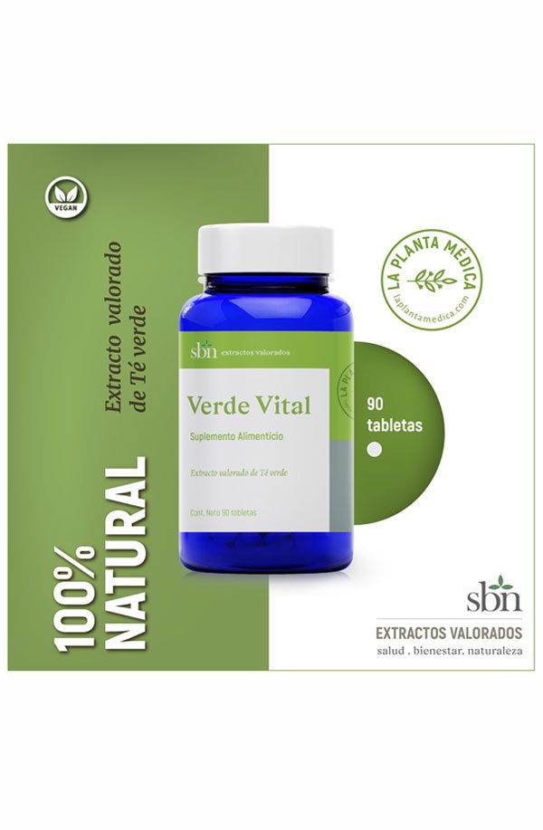 La Inspiring Historia de María Jesús González y Verde Vital